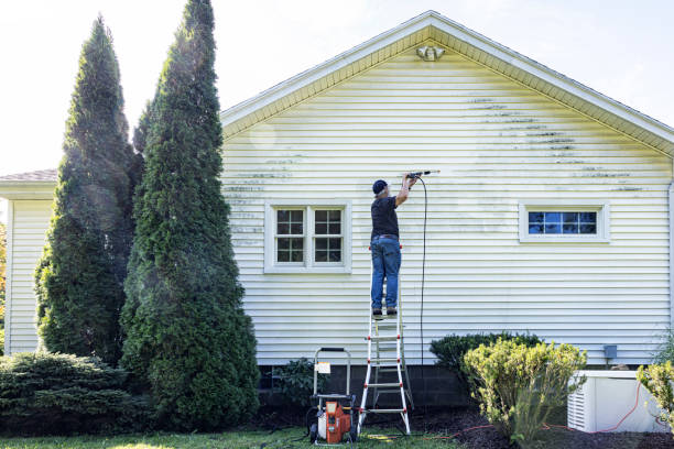 Best Driveway Pressure Washing  in Highland City, FL